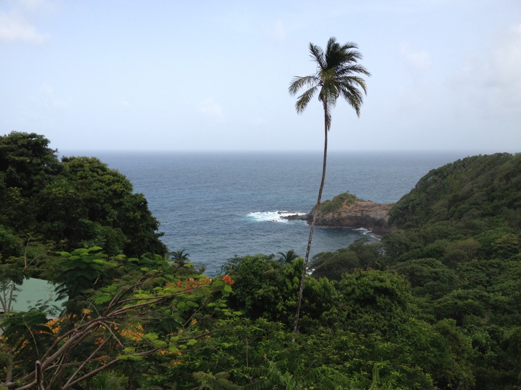 View from Dominica Hotel Balcony