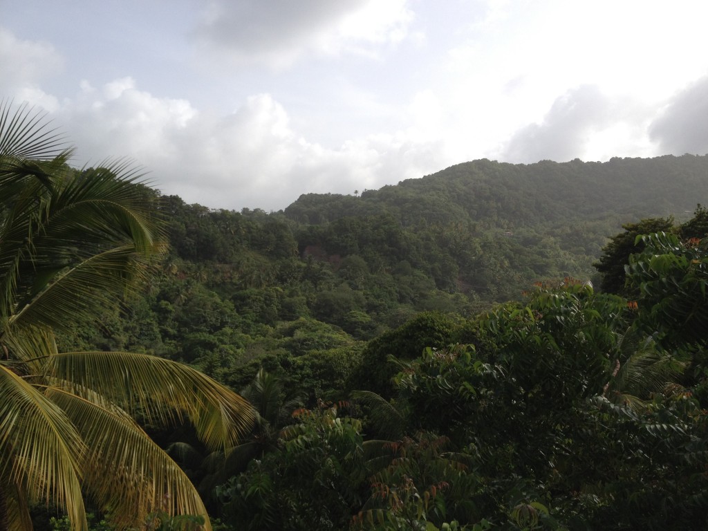View from Dominica Hotel