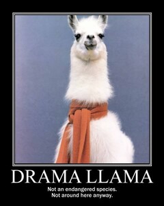 drama-llama