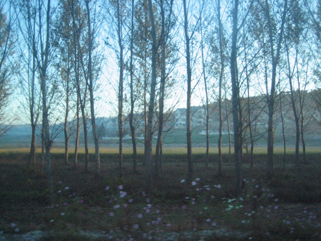 dprk-1781-airport road