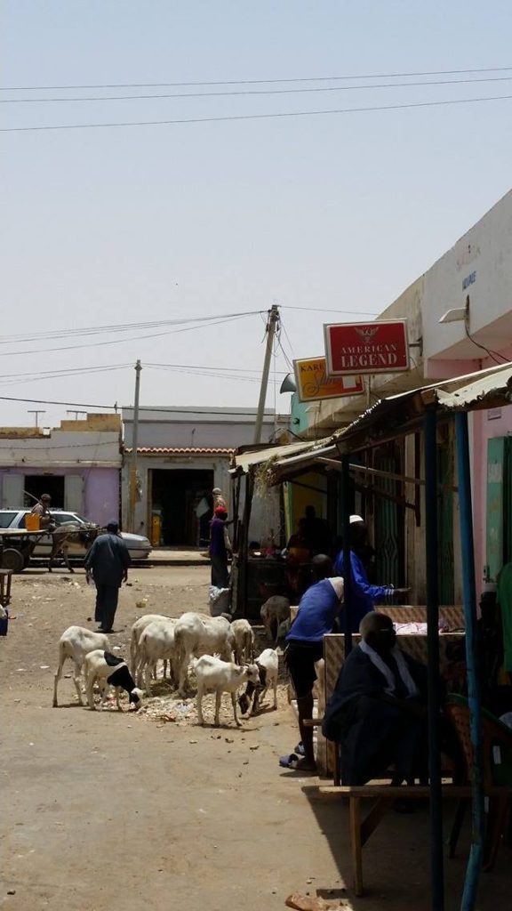 13446381_832100007898_1939093725_o