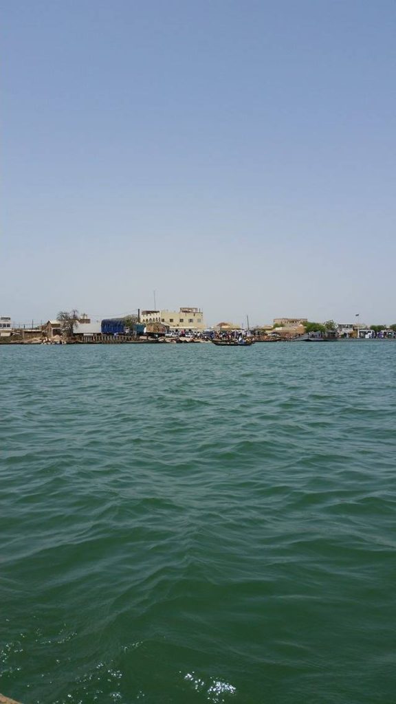 13452936_832100002908_1662556592_o